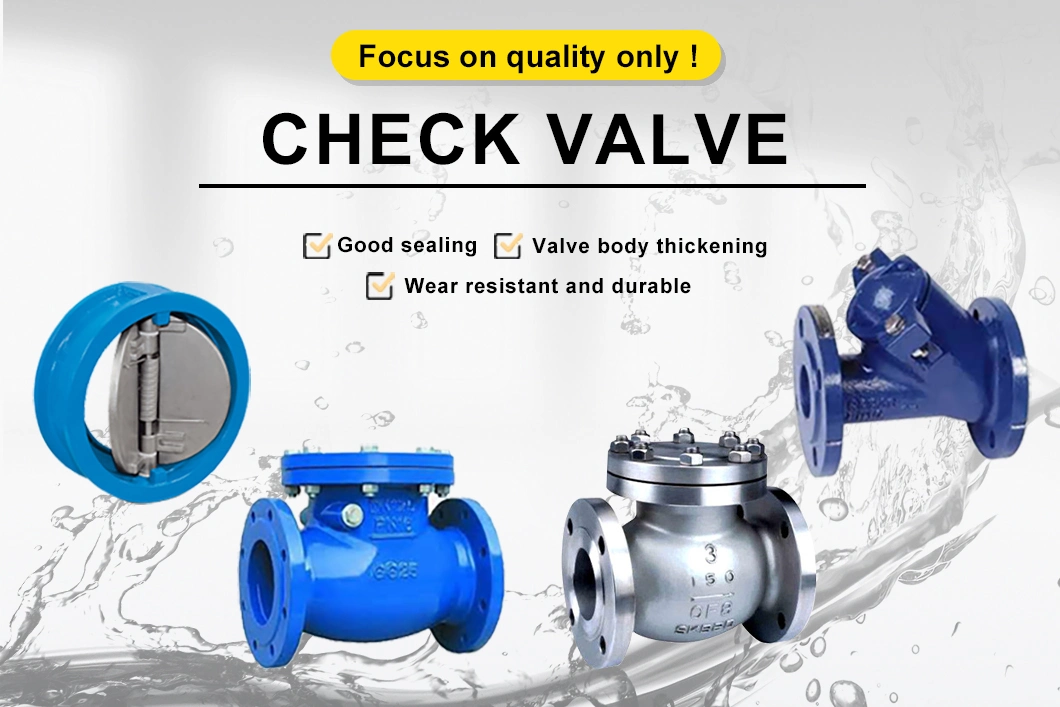 Professional Manufacture DN100 Pn16 Swing Check Valve CF8 Disc 2inch-12inch Non Return Valve Dual Plate Non Return Valve