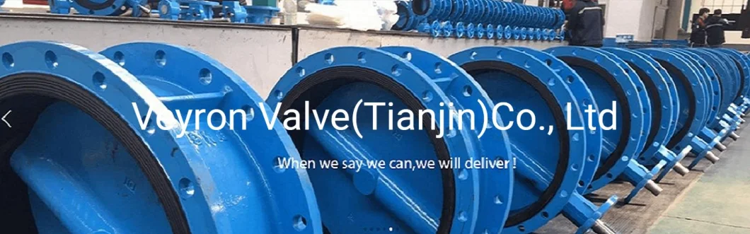 Pn16 25 40 Carbon Stainless Steel SS304 Metal Seated Triple Eccentric Offset Flanged Butterfly Valve DN300